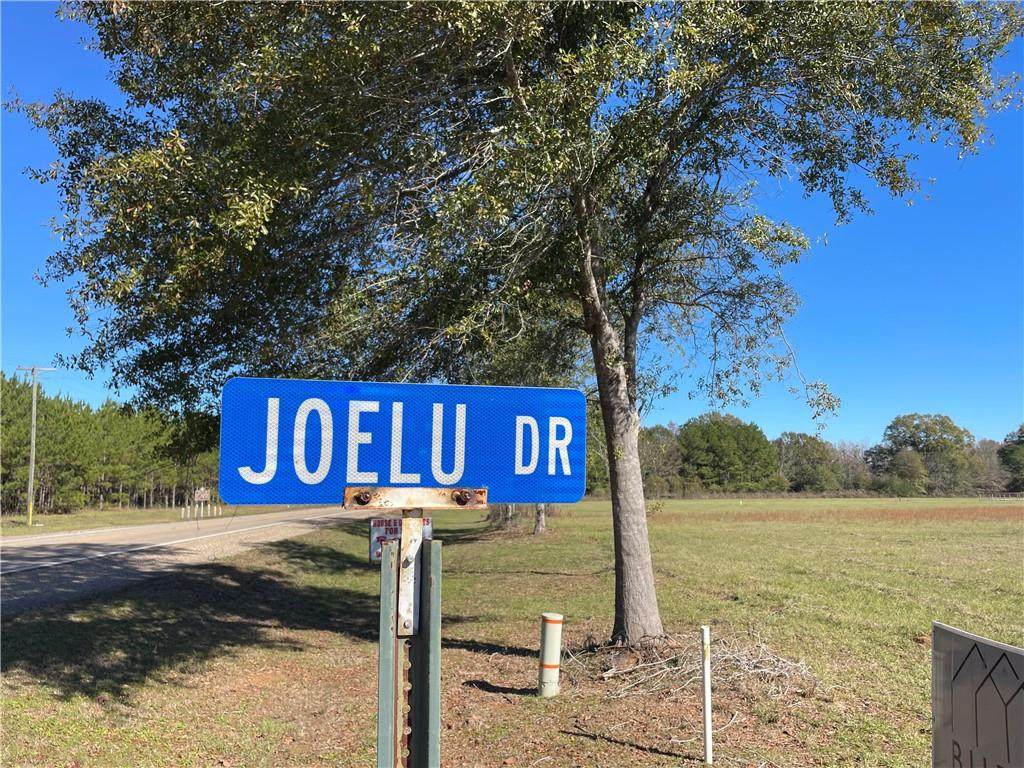 Lot 10 Joelu Drive - Photo 1