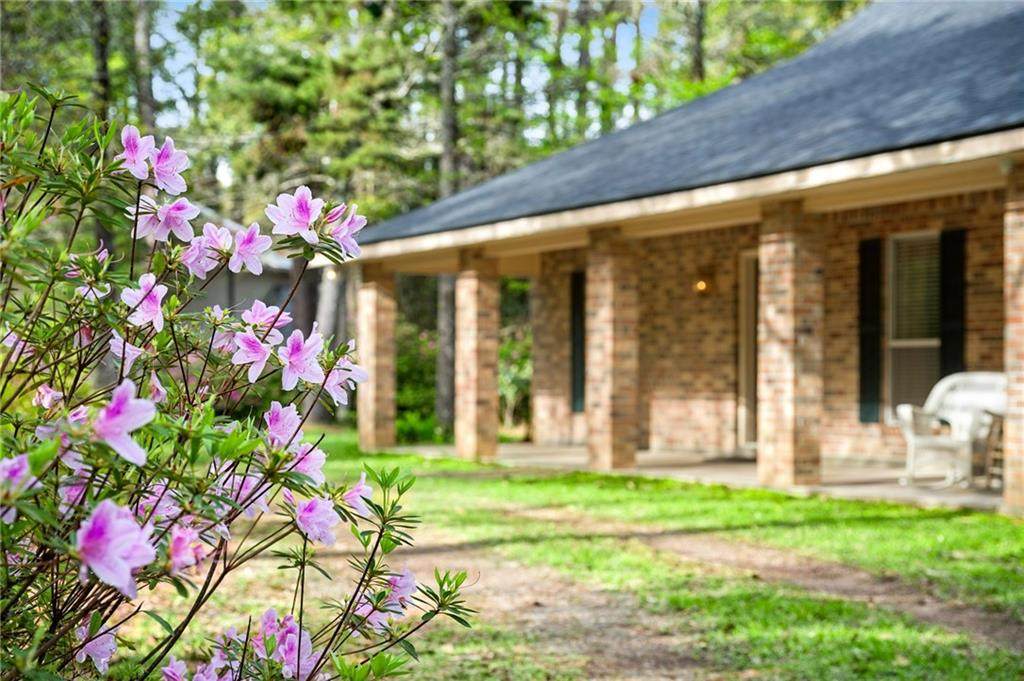33 Elizabeth Drive - Photo 1
