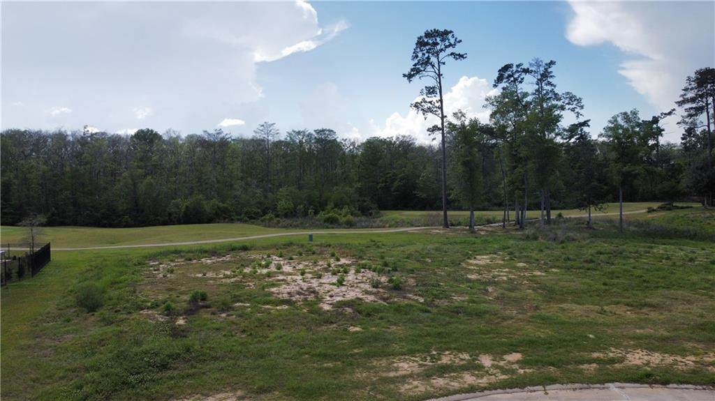 TBD Cypress Cove - Photo 1