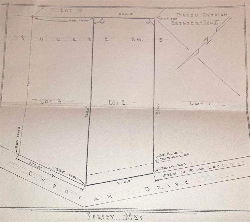 29244 Cyprian Drive - Photo 1