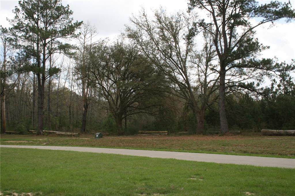 https://bt-photos.global.ssl.fastly.net/neworleans/orig_boomver_1_2549100-2.jpg