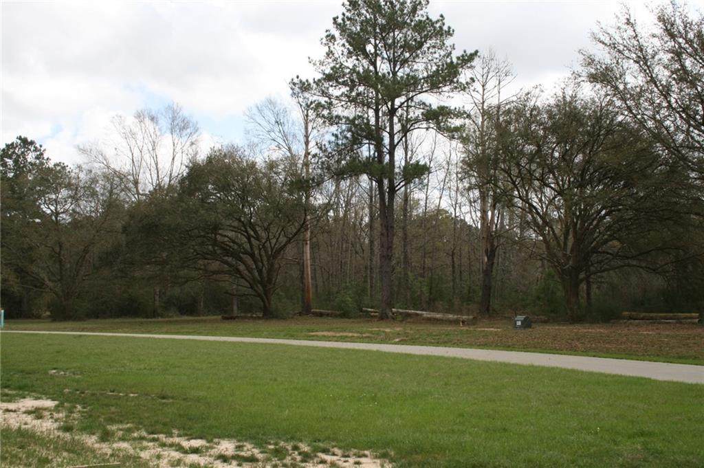 https://bt-photos.global.ssl.fastly.net/neworleans/orig_boomver_1_2549100-2.jpg