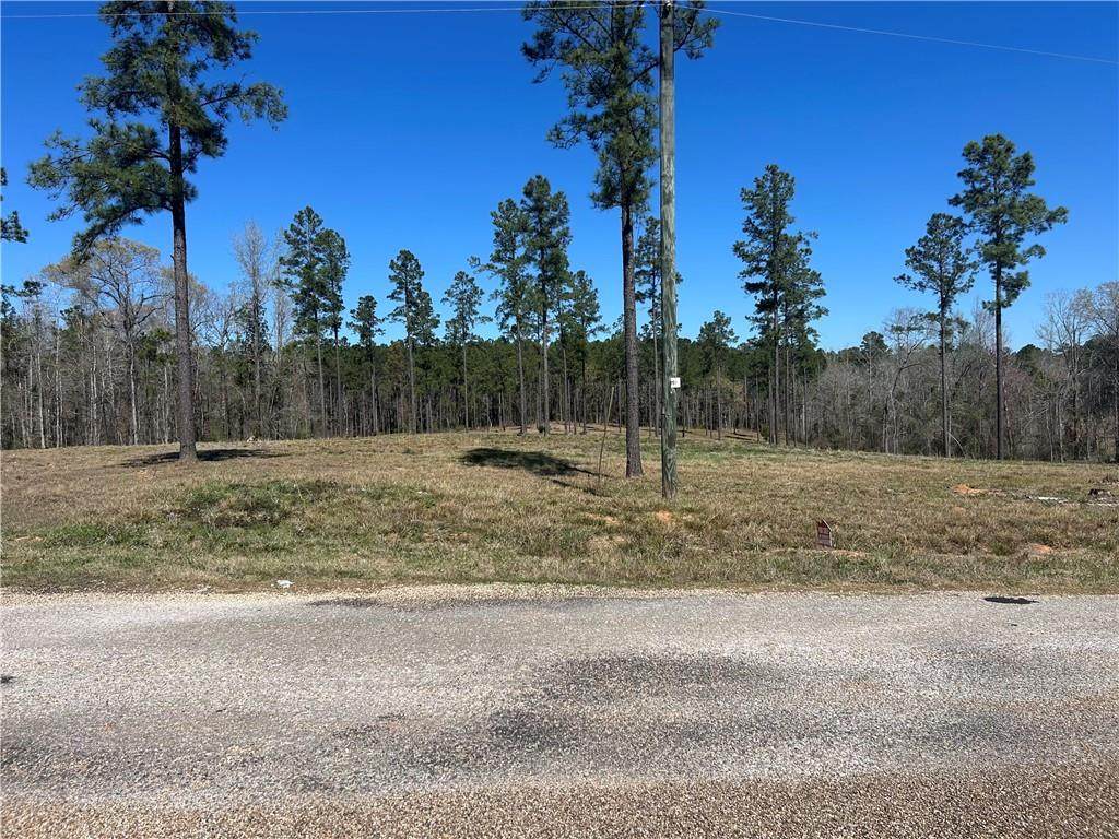 0 Teekell Drive - Photo 1