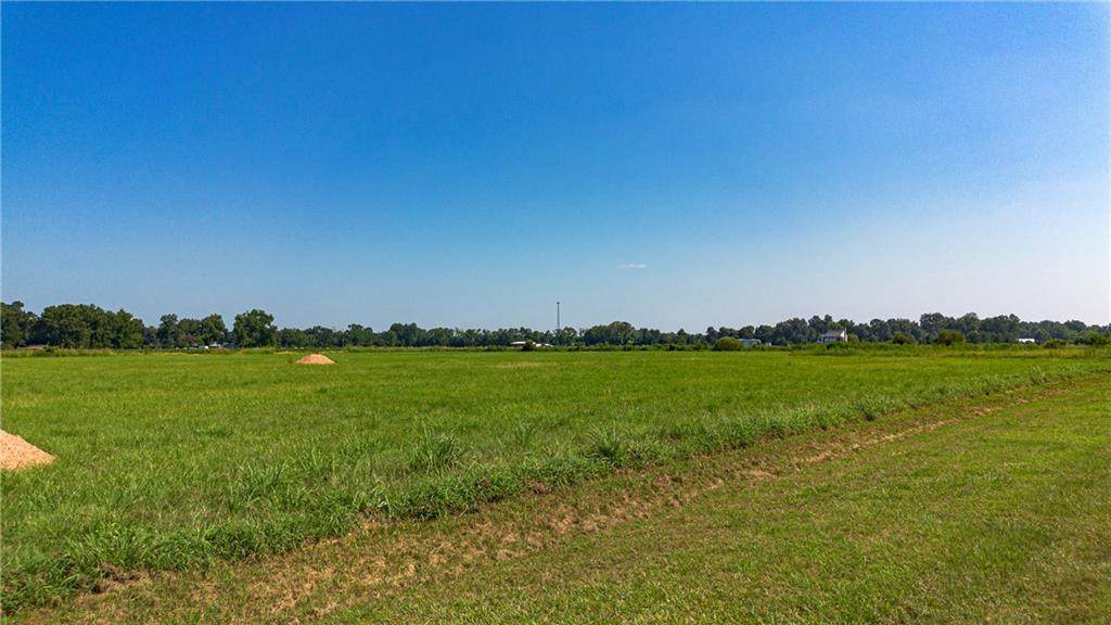 2986 Louisiana 457 Highway - Photo 1