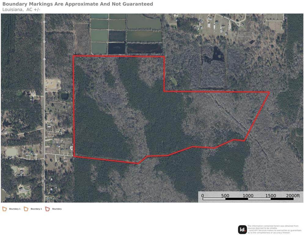 135 Acres Belle Woods Drive - Photo 1