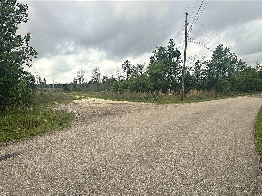 148 Acres Lost Oak Lane - Photo 1