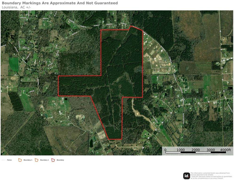 420 Acres Palmer Road - Photo 1