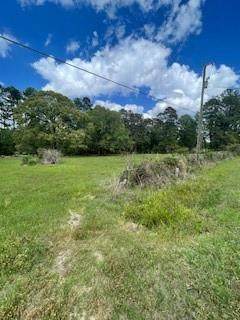 0 Mar Bud Trace Trace - Photo 1