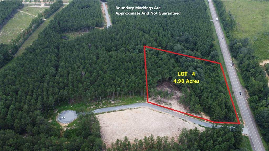 Lot 4 Hwy 25 Highway - Photo 1