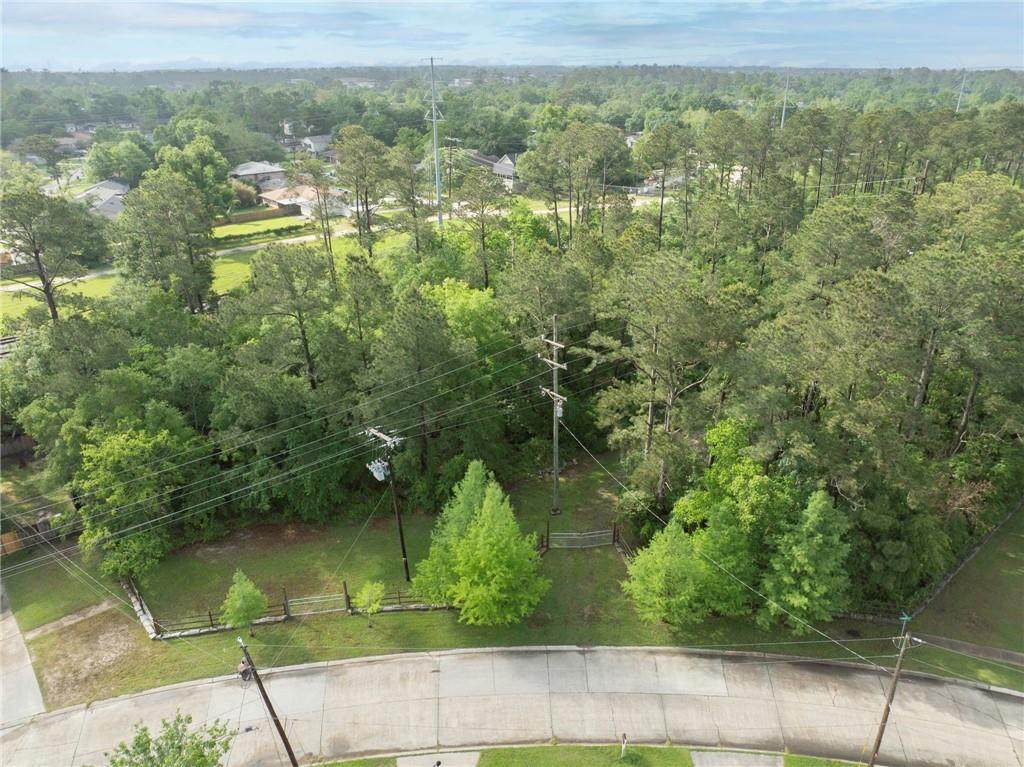 202-204 Camellia Drive - Photo 1