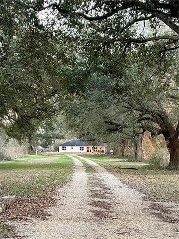 https://bt-photos.global.ssl.fastly.net/neworleans/orig_boomver_1_2550770-2.jpg