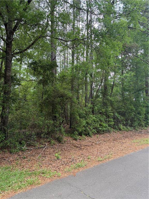 TBD Saint Charles Avenue - Photo 1