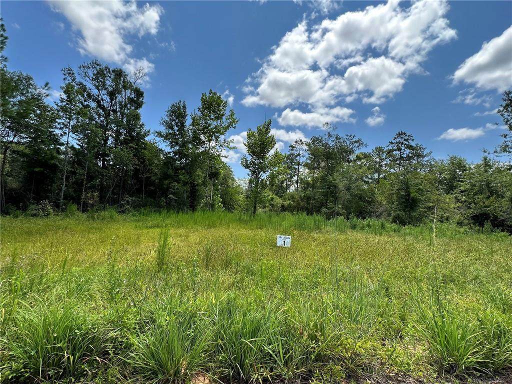 Lot 1 The Banks Dr, Hwy 16 Highway - Photo 1