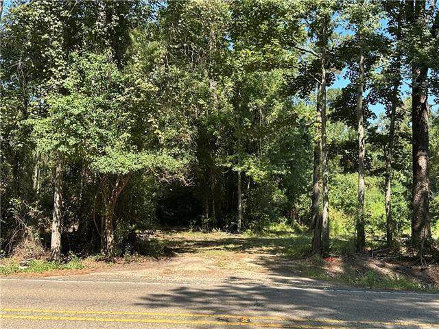 TBD La 437 Road - Photo 1