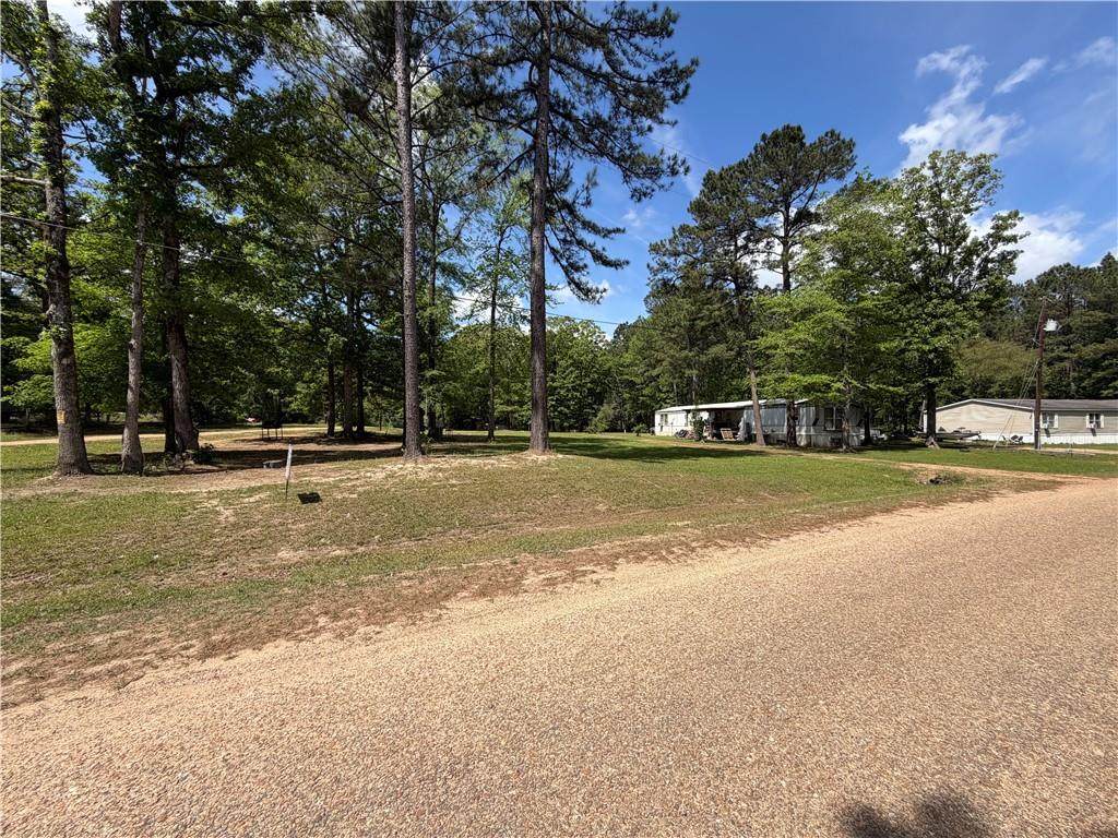 3161 A&B Gray's Creek Road - Photo 1