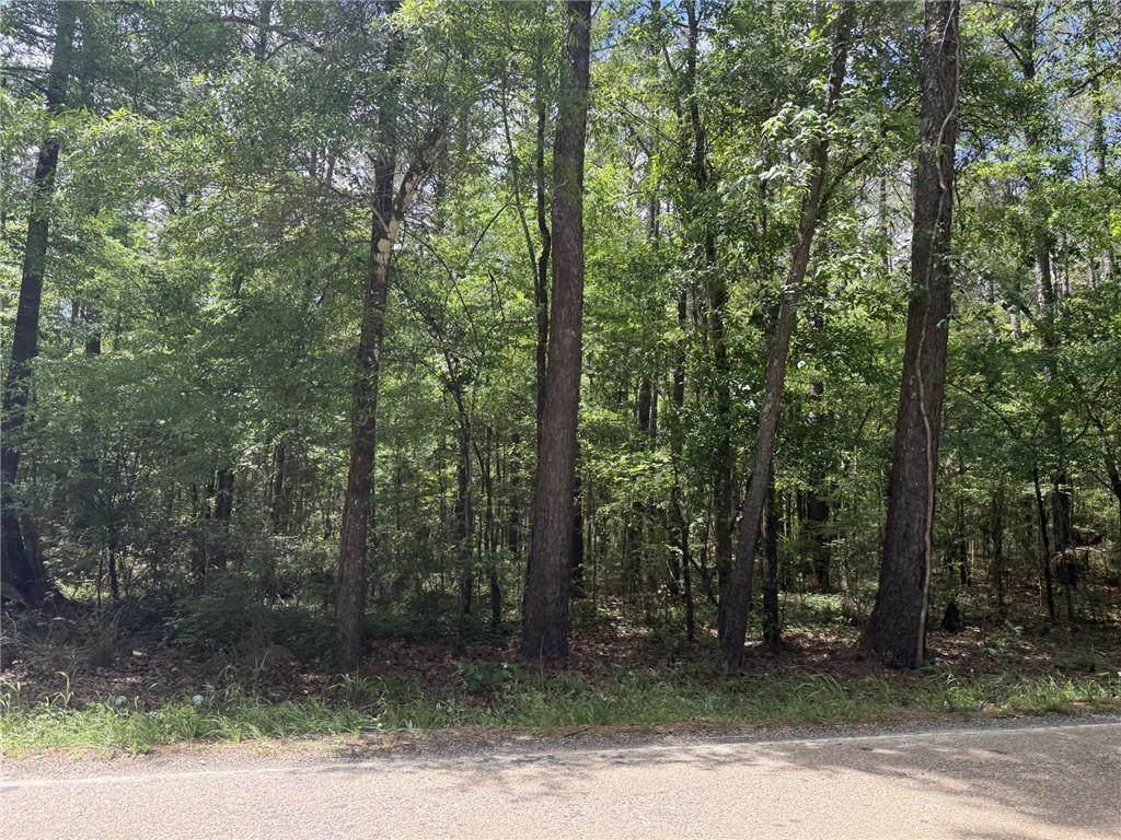 TBD Oakdale-Tracts 1 & 3 Road - Photo 1