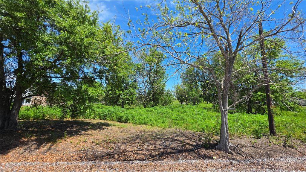  Lot 5A & 5B On Hwy 23 To The Mississippi River - Photo 1