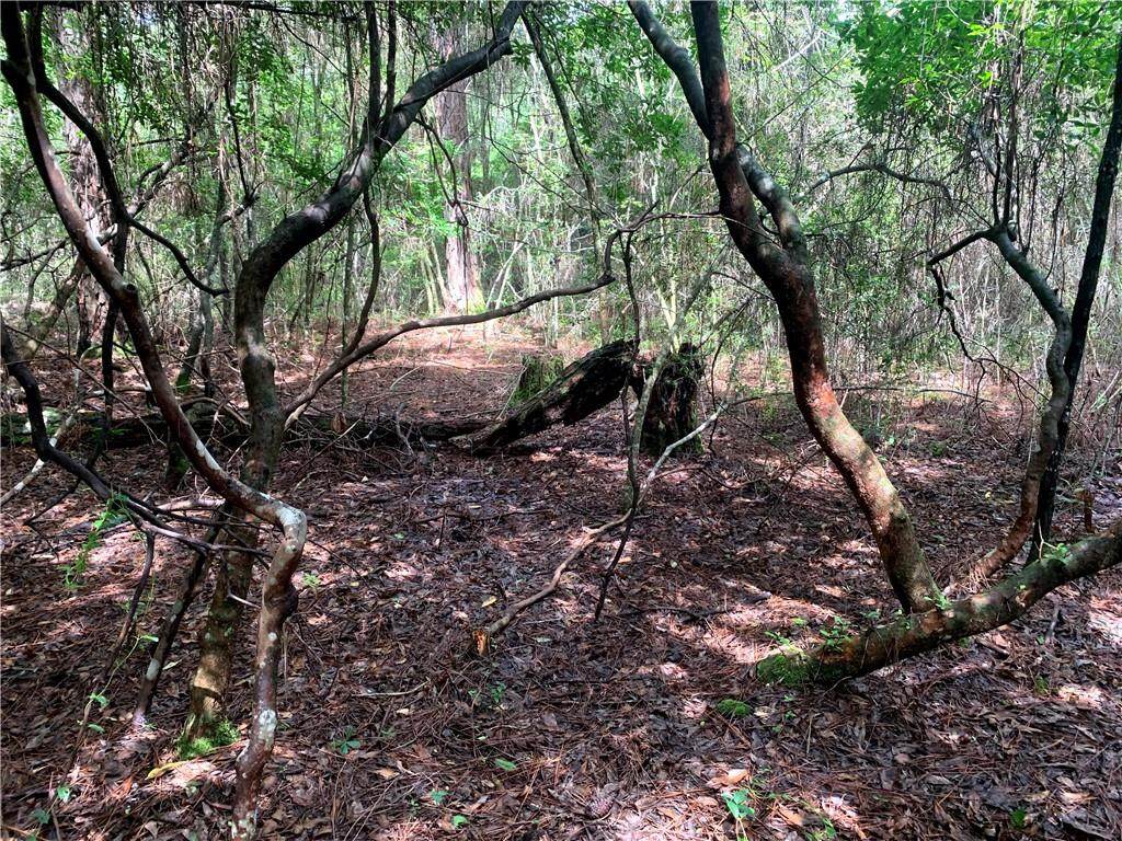 Lot 23 Five Acre Farms - Photo 1