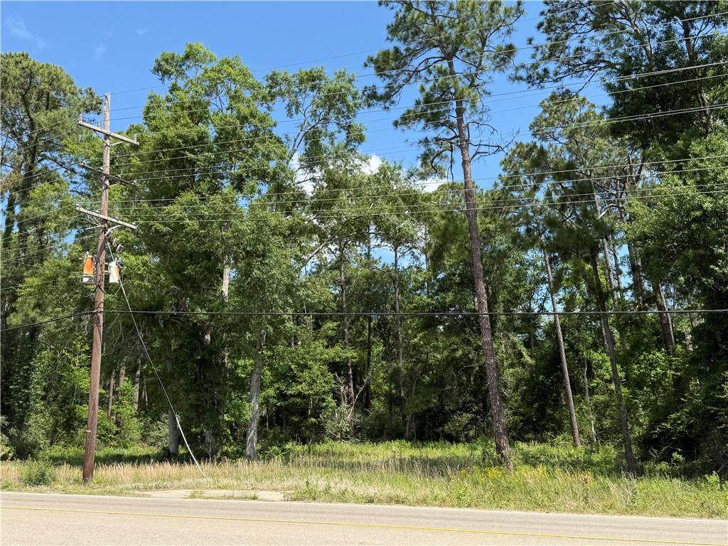 40017 Highway 190 E - Photo 1