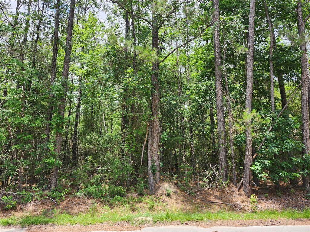 73308 Green Street - Photo 1
