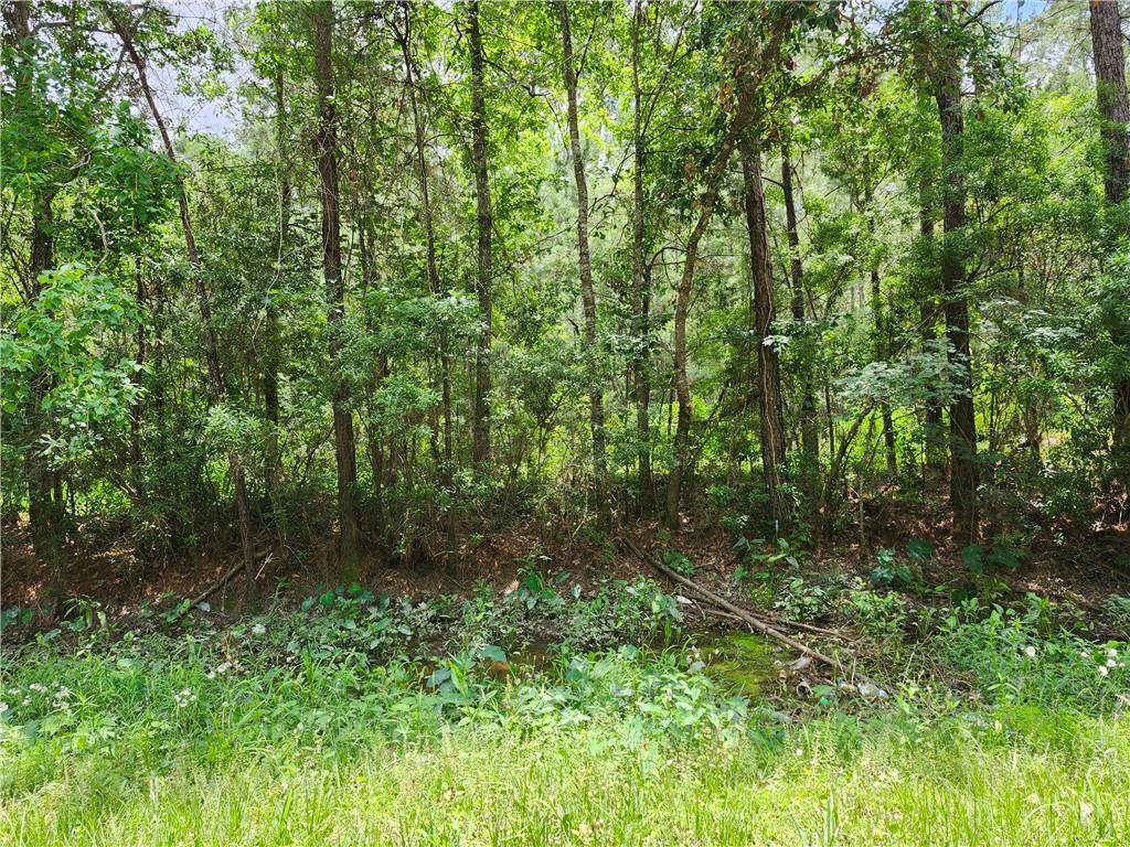 30325 Clesi Avenue - Photo 1