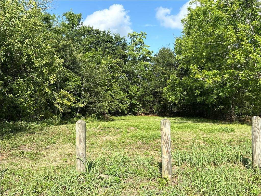 3743 Saint Ferdinand Street - Photo 1