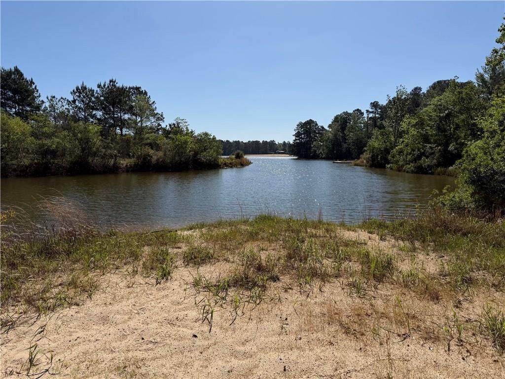 TBD Lot 3 Highway 25 Drive - Photo 1
