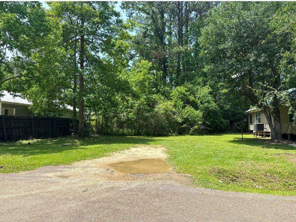 72503 Pansy Street - Photo 1