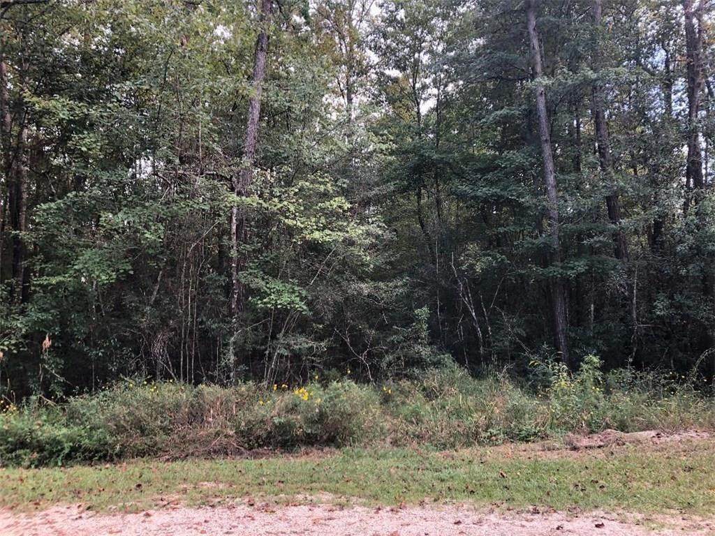 Lot 16 Crabapple Lane - Photo 1