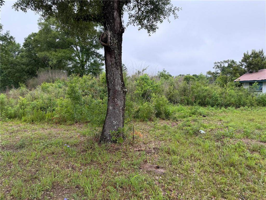 10315 Old Baton Rouge Highway - Photo 1