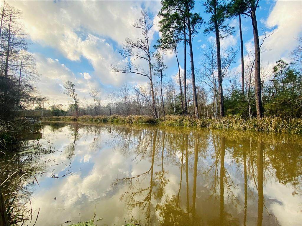 Lot 10 Indian Mound Lane - Photo 1
