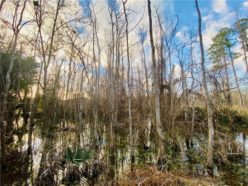 https://bt-photos.global.ssl.fastly.net/neworleans/orig_boomver_1_2556005-2.jpg