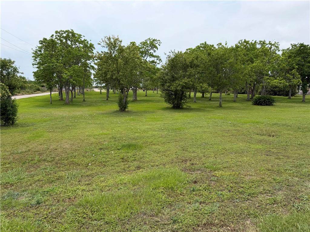 36298 Highway 11 Highway - Photo 1