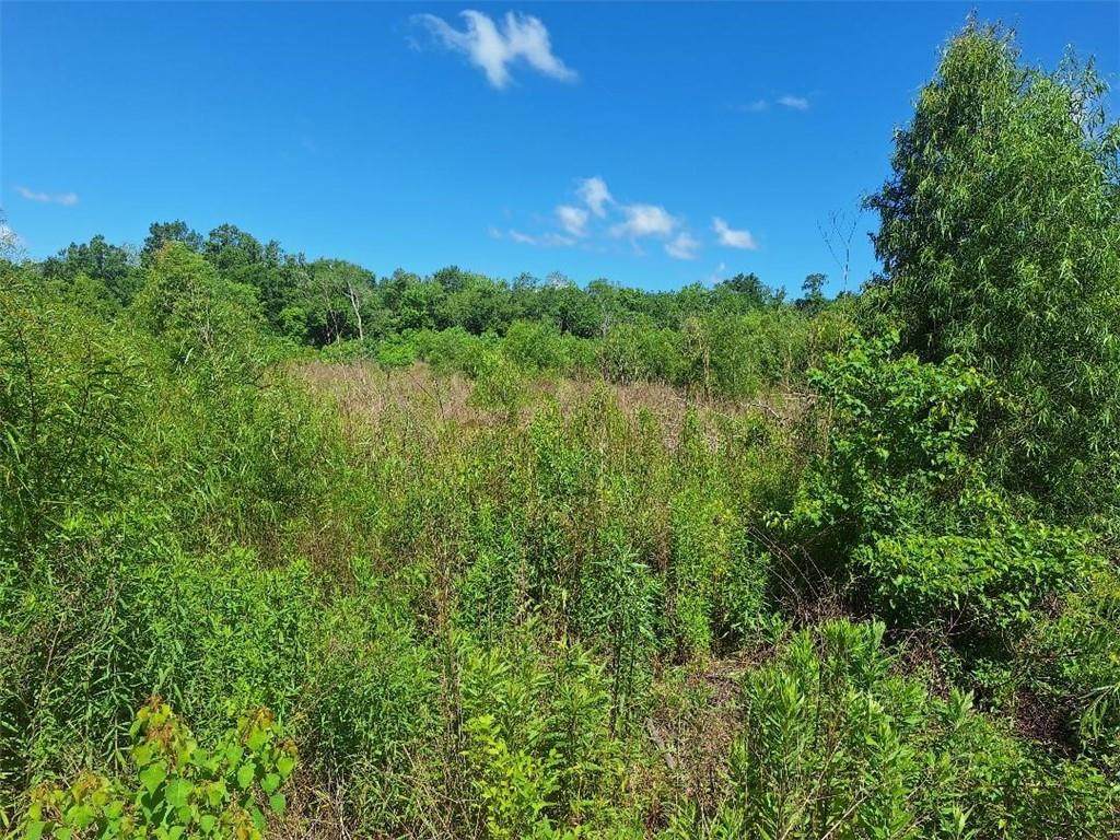 1699 Stanton Road - Photo 1