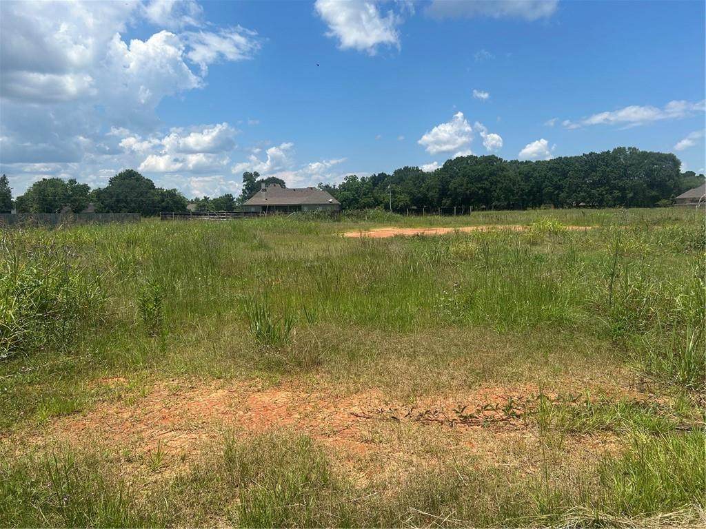Lot 8 Winnfield Drive - Photo 1