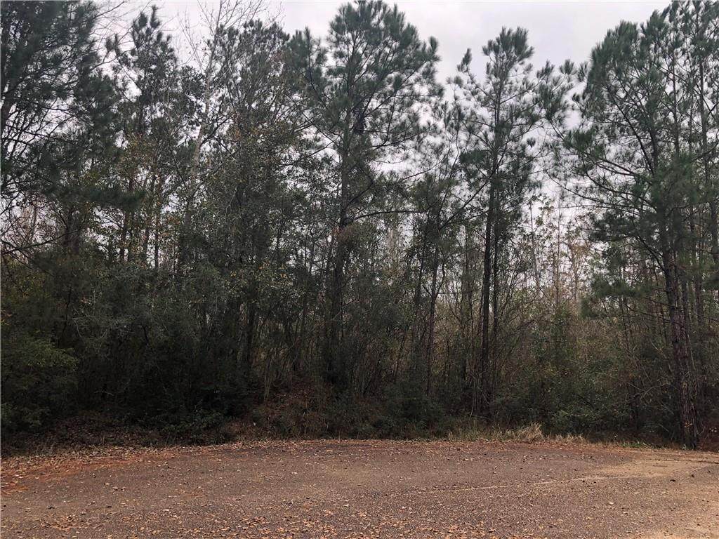 419 Parlange Drive - Photo 1