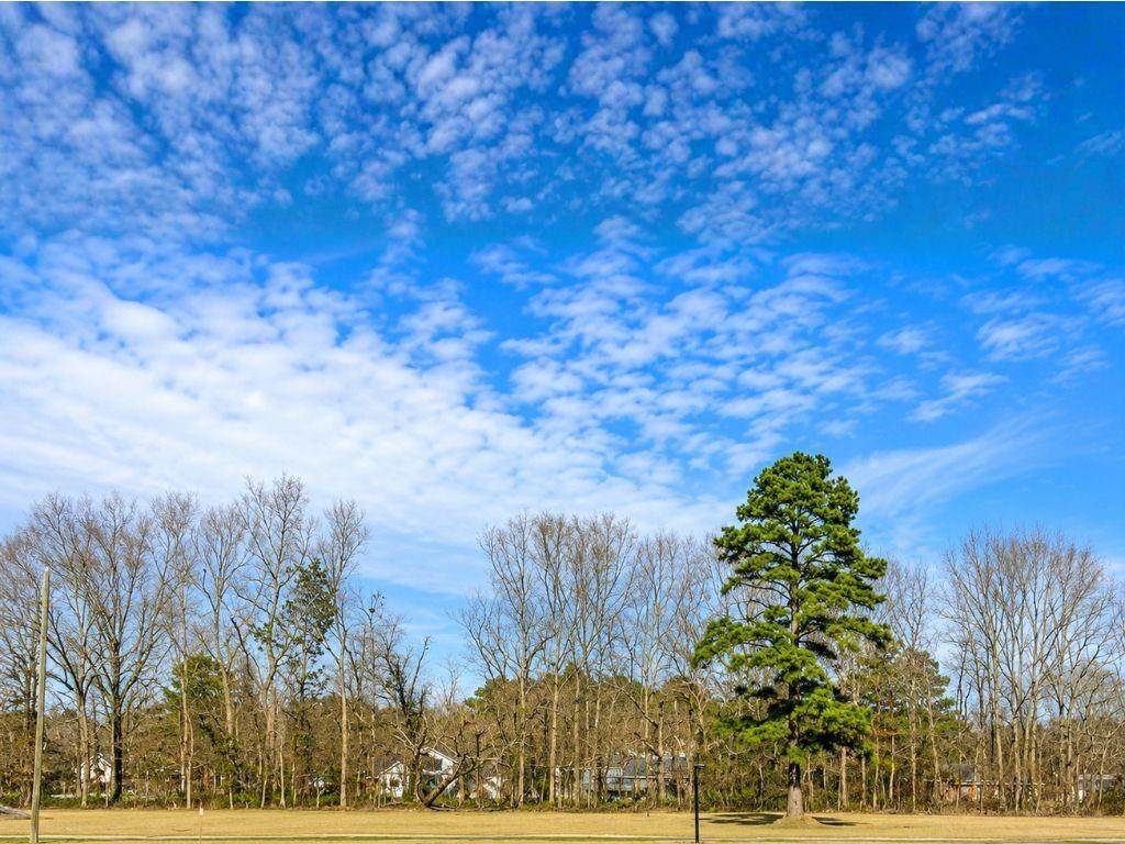 44068 Mary Singletary Road - Photo 1