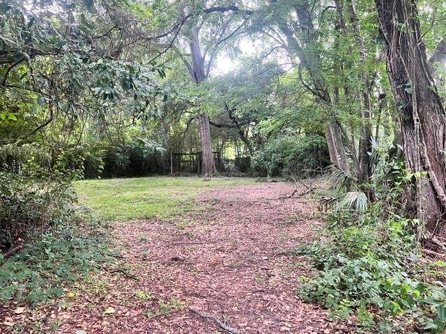 https://bt-photos.global.ssl.fastly.net/neworleans/orig_boomver_1_2561176-2.jpg