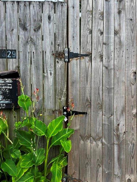 1329 Eagle Street - Photo 1
