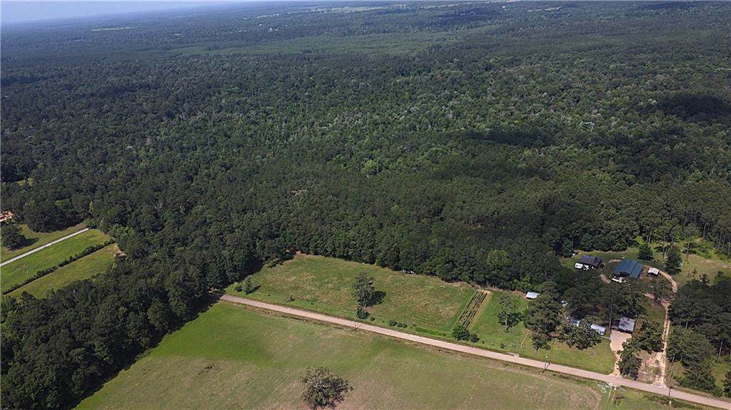 71 Acres Pierre Cemetery Road - Photo 1