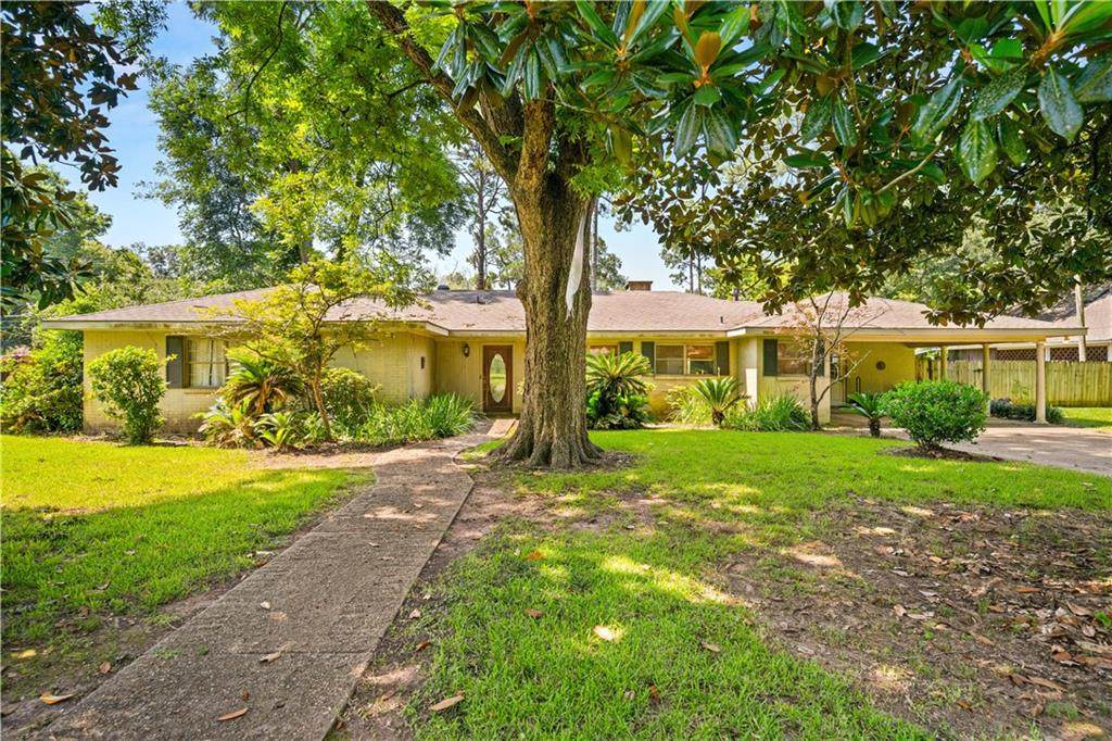 3810 Pecan Drive - Photo 1