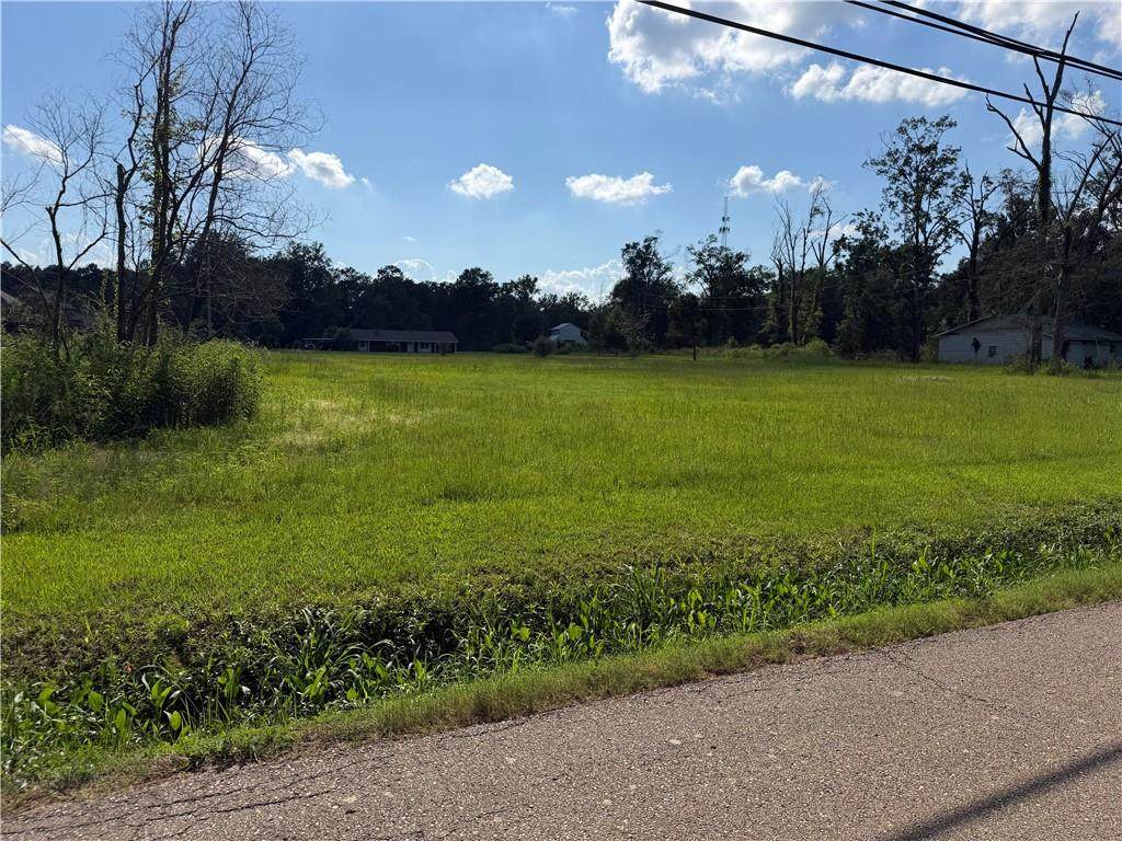41523 and 41525 Yokum Road - Photo 1