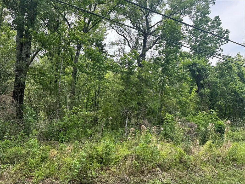 12558 Central Avenue - Photo 1