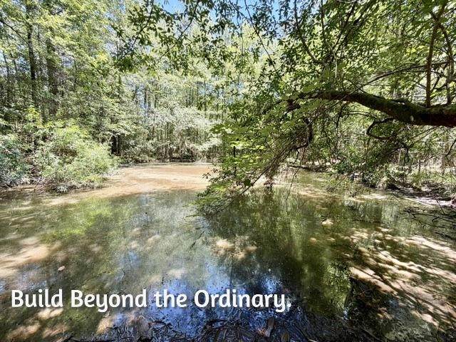 TBD Holly Lane - Photo 1