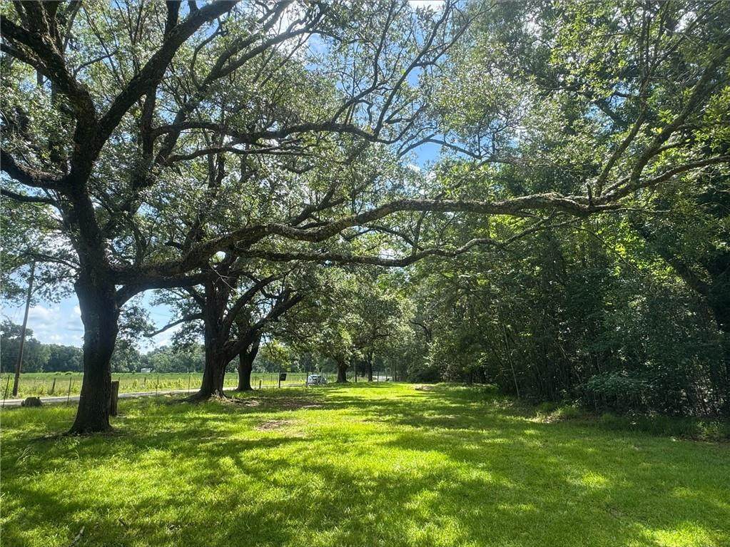 https://bt-photos.global.ssl.fastly.net/neworleans/orig_boomver_1_2562910-2.jpg