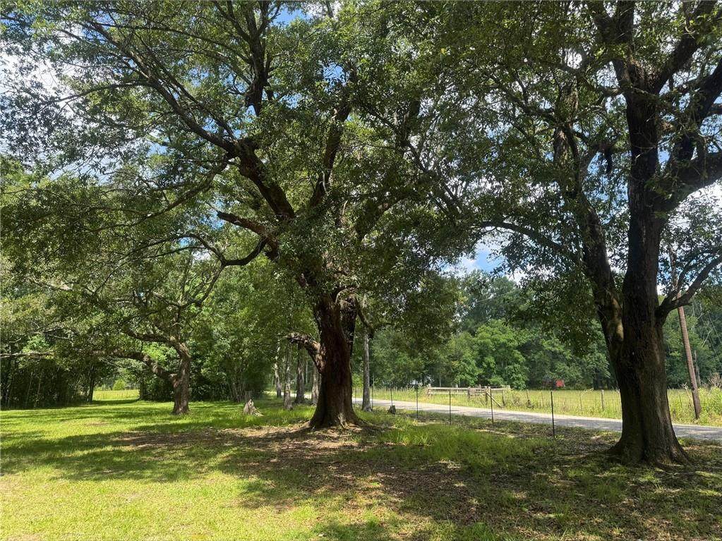 https://bt-photos.global.ssl.fastly.net/neworleans/orig_boomver_1_2562910-2.jpg