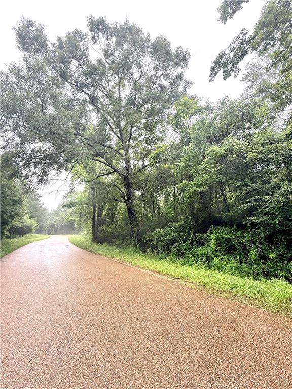 4.464 Acres Pleasant Hill Road - Photo 1