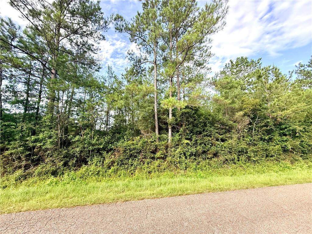 Lot1-B 4ac Lee Road - Photo 1