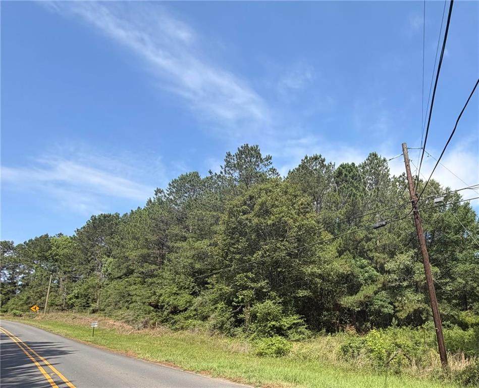 TBD Jeane Chapel Road - Photo 1