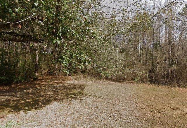  Robert Blow Road - Photo 1